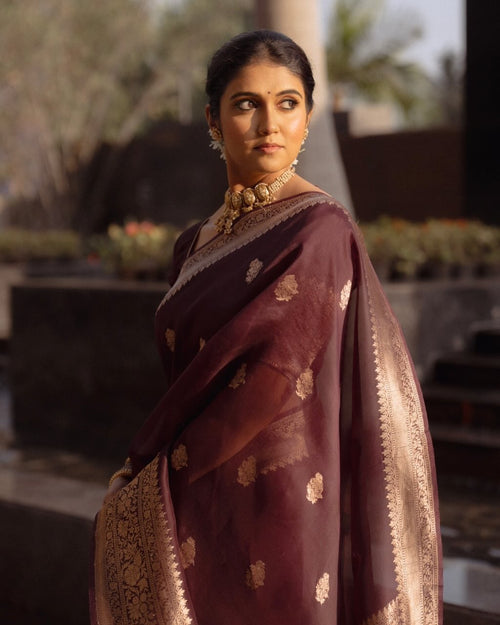 Praveena - Maroon Organza Silk Saree with Floral Zari Motifs and Brocade Border