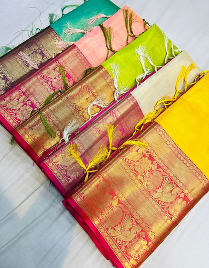 Ishita Firozy Tissue Silk Saree With Elegant Blouse