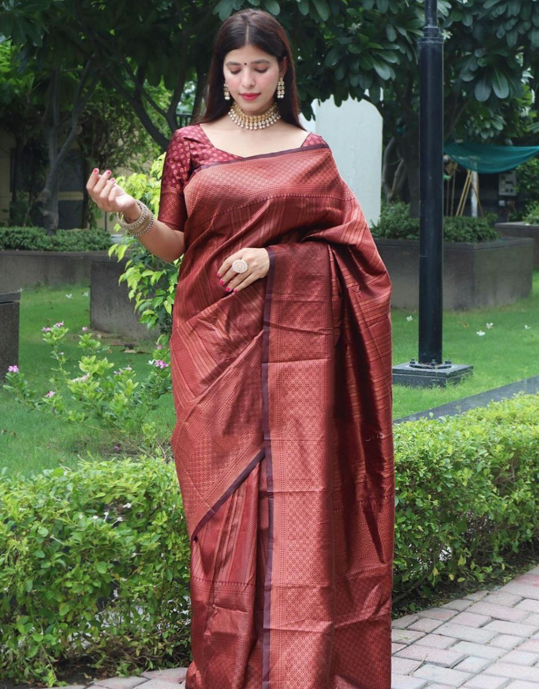 Gunjan Brown Kanchipuram saree