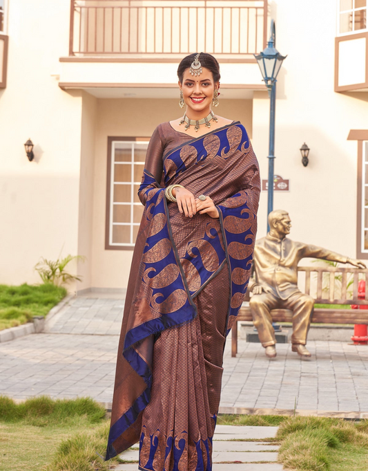 Rajvi Brown Banarasi Saree