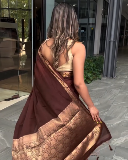 Chocolate Glow - Banarasi Silk Saree