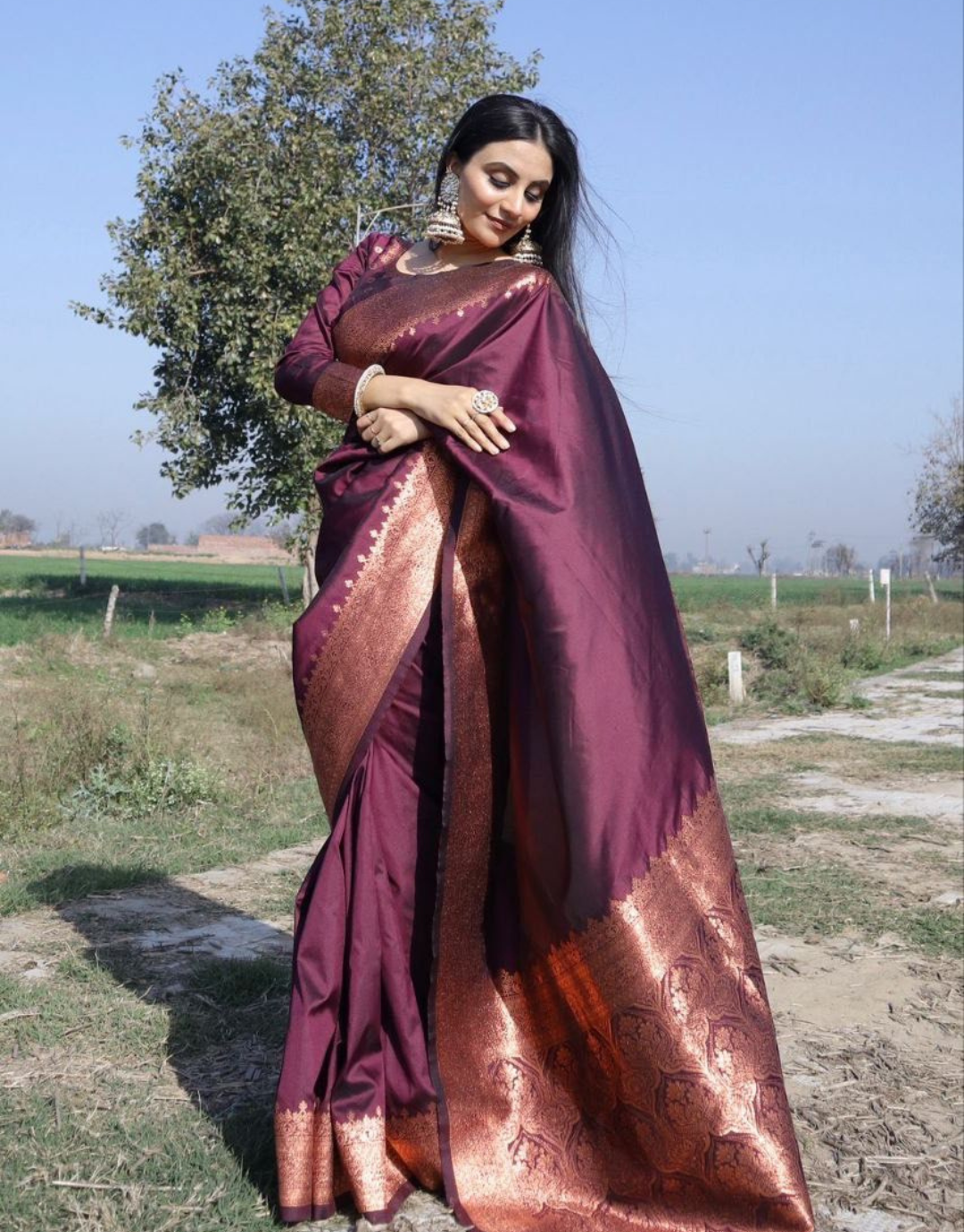 Rahi Wine Banarasi Silk Saree