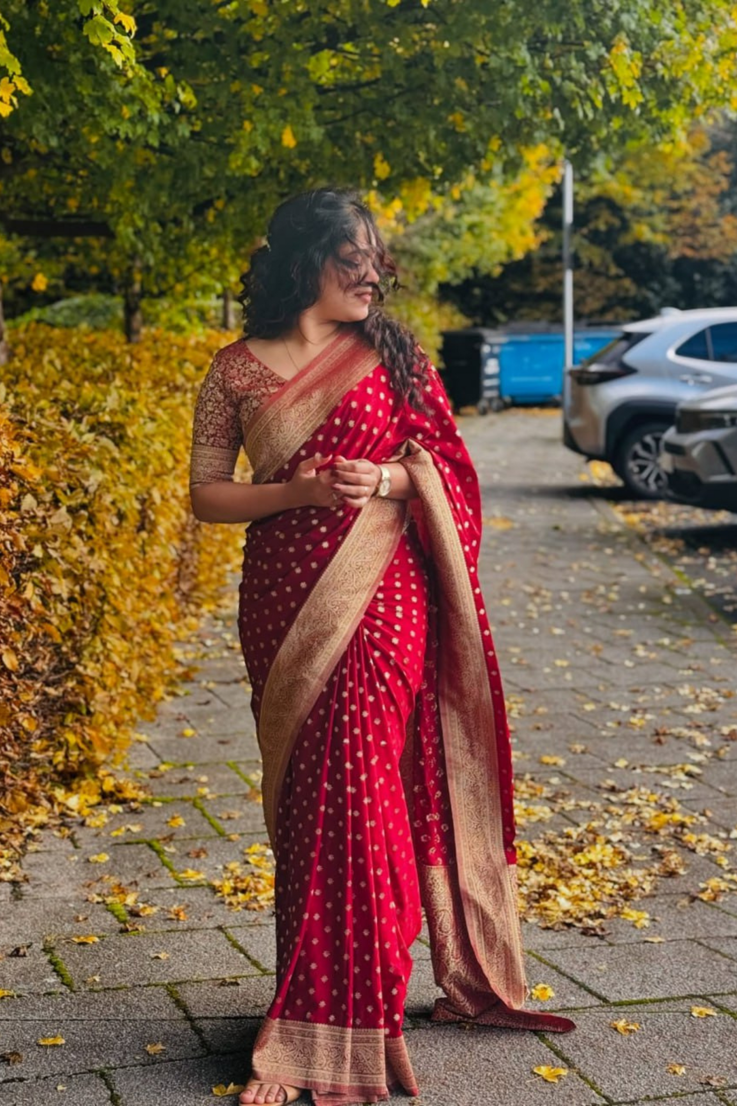 Candlelit Silk - Red Banarasi Silk Saree