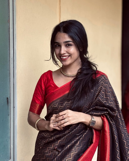 Nivriti - Coffee Brown Handloom Saree with Red Border