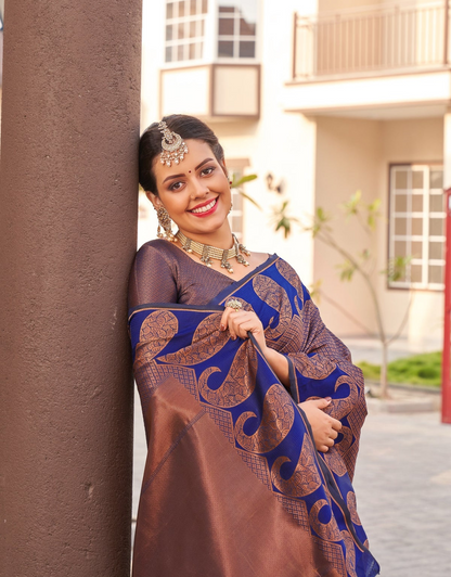 Rajvi Brown Banarasi Saree