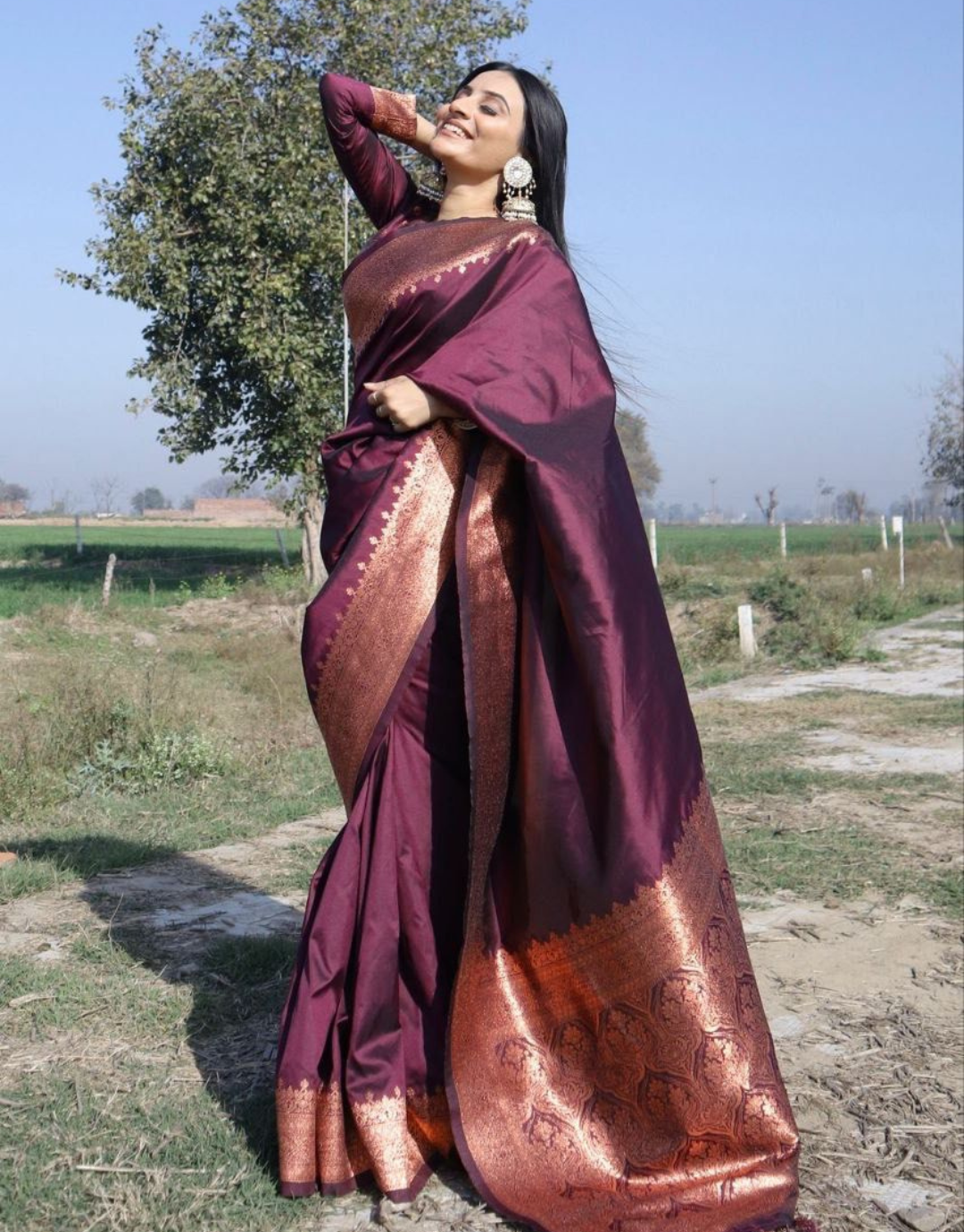 Rahi Wine Banarasi Silk Saree