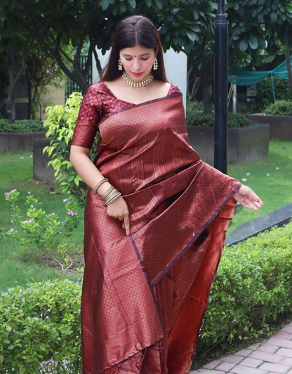 Gunjan Brown Kanchipuram saree