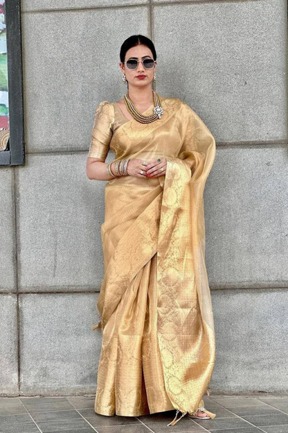 Champagne Dream - Tissue Sof Silk Saree