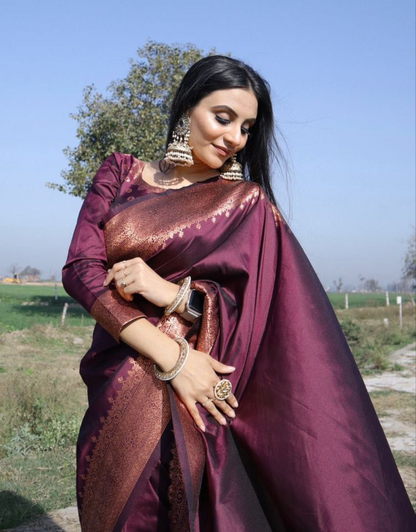 Rahi Wine Banarasi Silk Saree