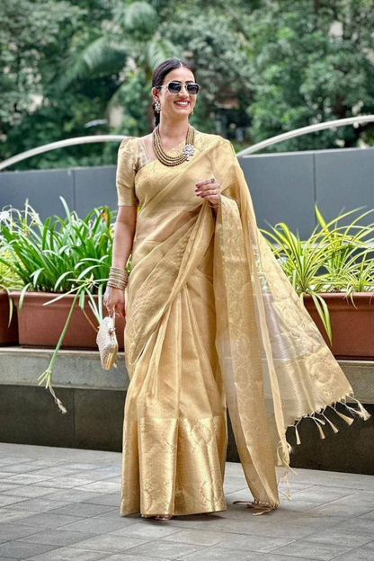 Champagne Dream - Tissue Sof Silk Saree