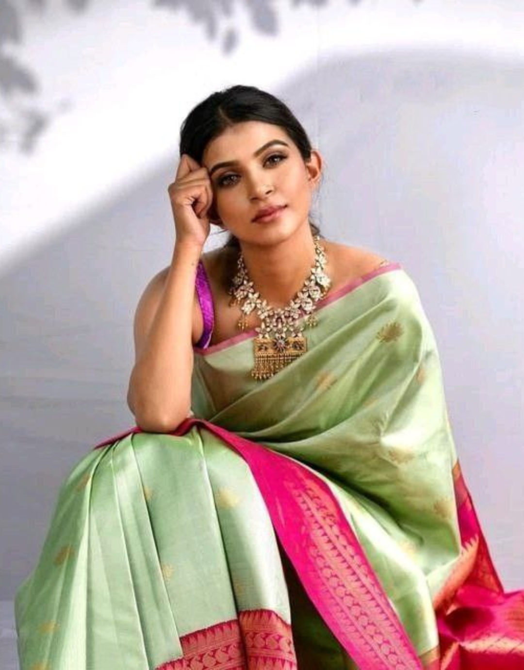 Priya Green Mist Banarasi Saree