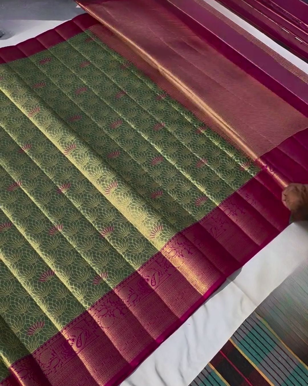 Sinjini - Olive Green  Silk Saree with Gold Zari Border
