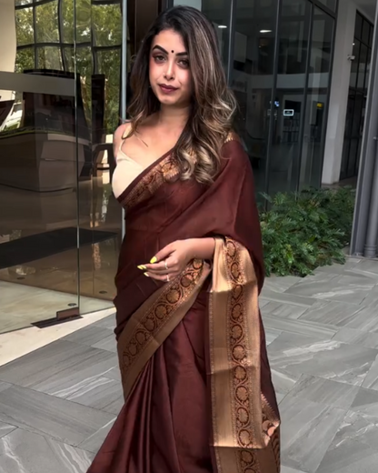 Chocolate Glow - Banarasi Silk Saree