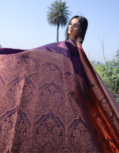 Rahi Wine Banarasi Silk Saree