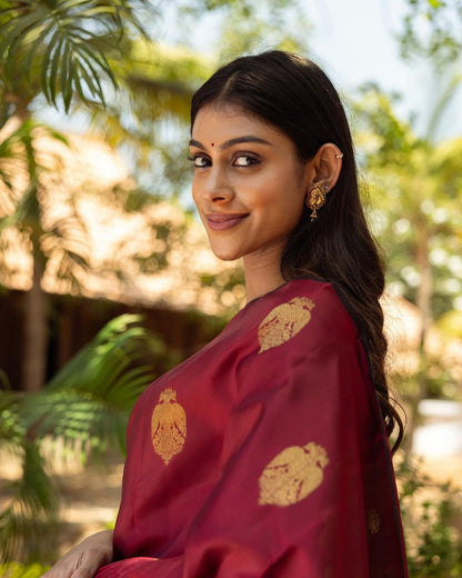 Deep Red Banarasi Silk Saree with Gold Motifs