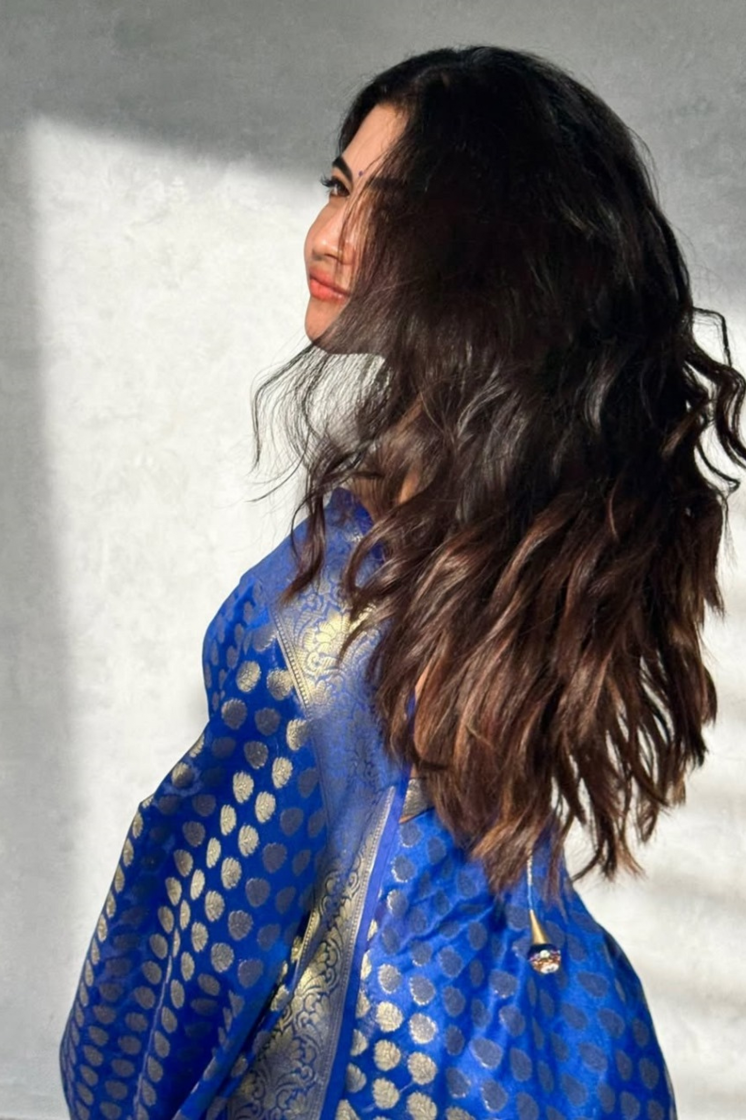 Ethereal Indigo - Banarasi Silk Saree