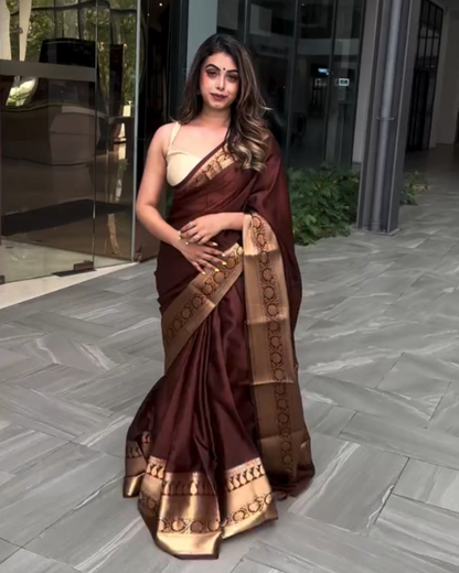 Chocolate Glow - Banarasi Silk Saree