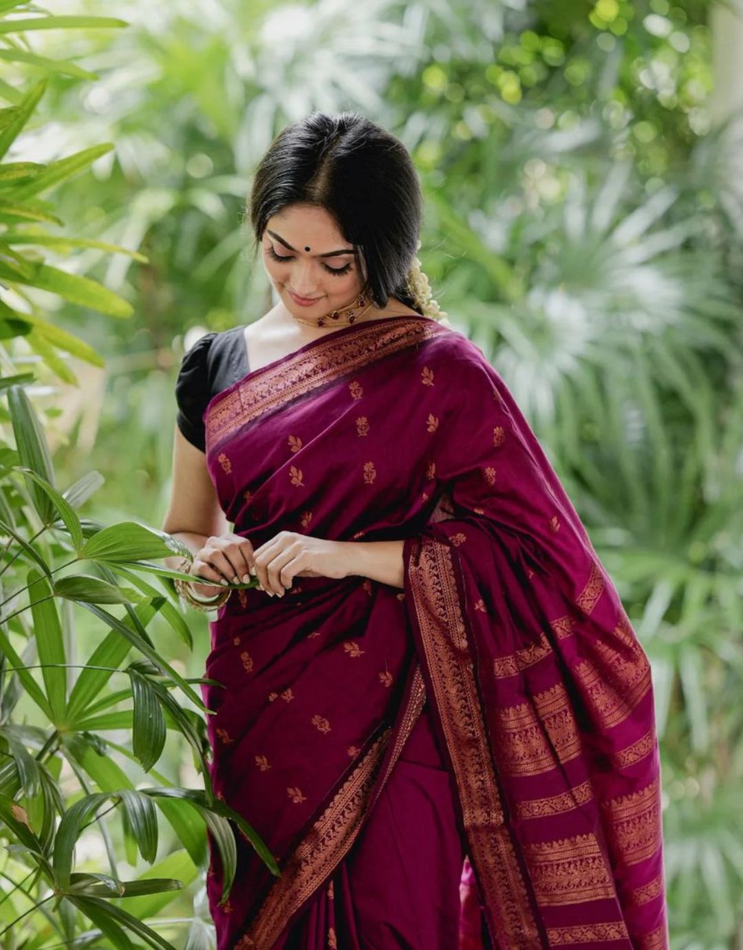 Anjali Wine Cotton Silk Saree