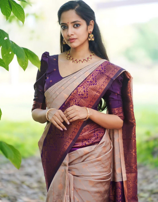 Yana Grey Litchi Silk Saree