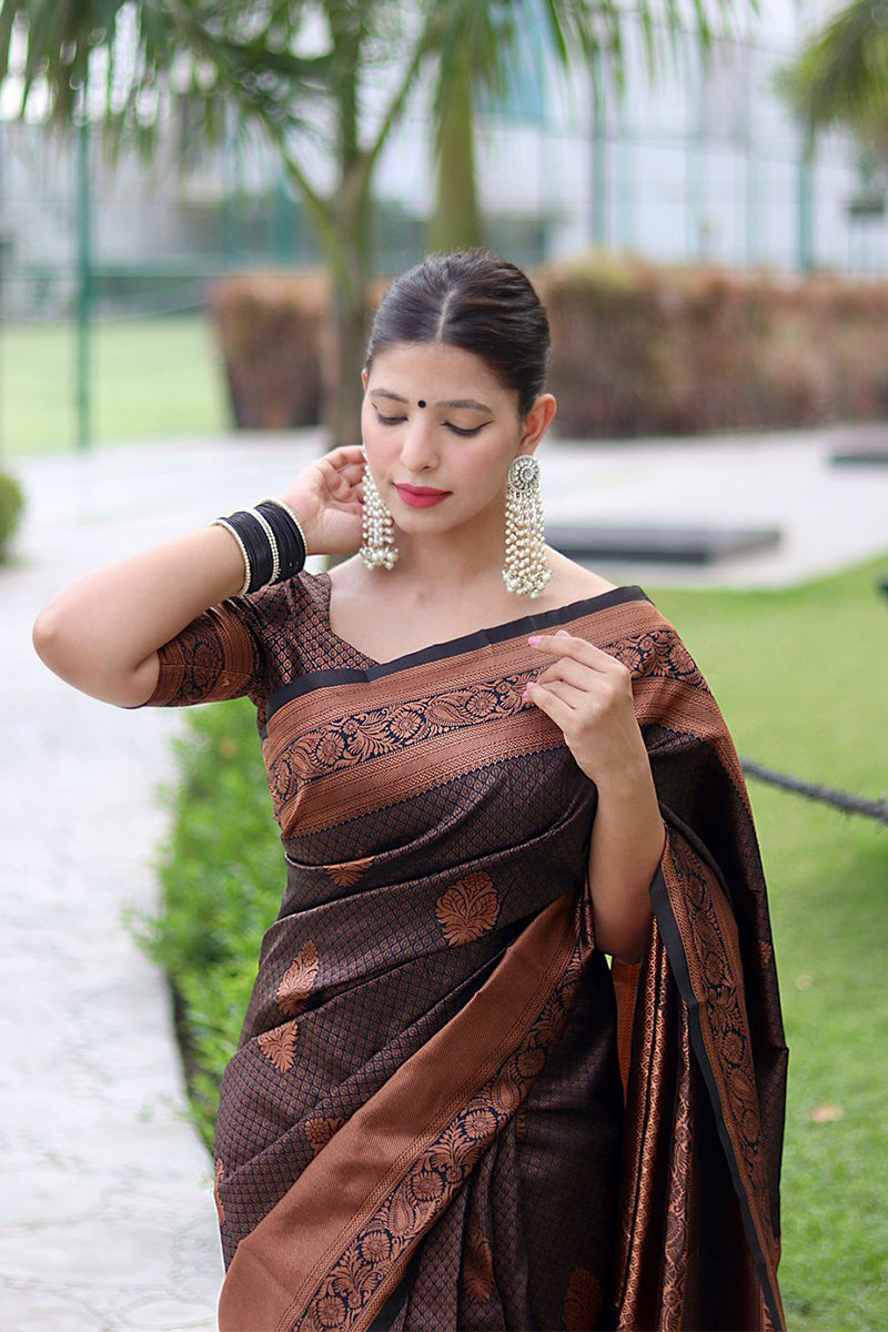 Krishu Brwon Banarasi Silk Saree