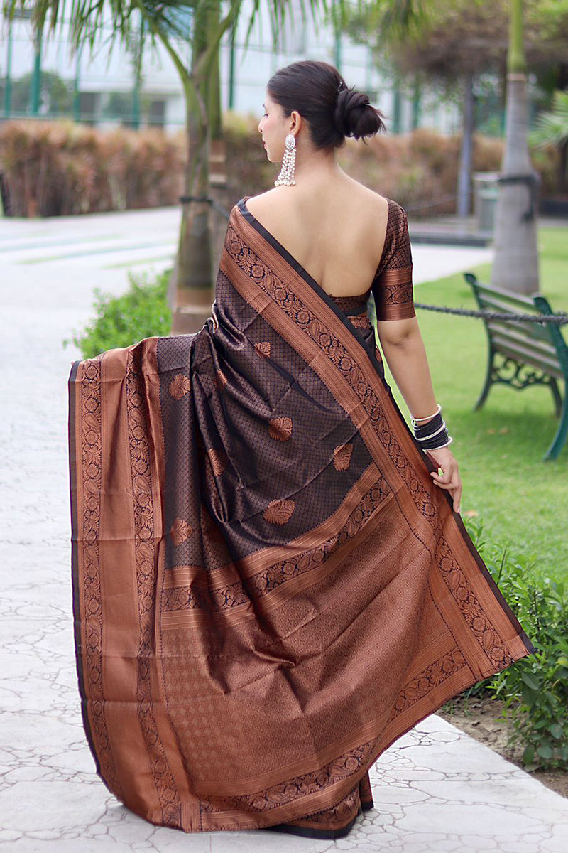 Krishu Brwon Banarasi Silk Saree