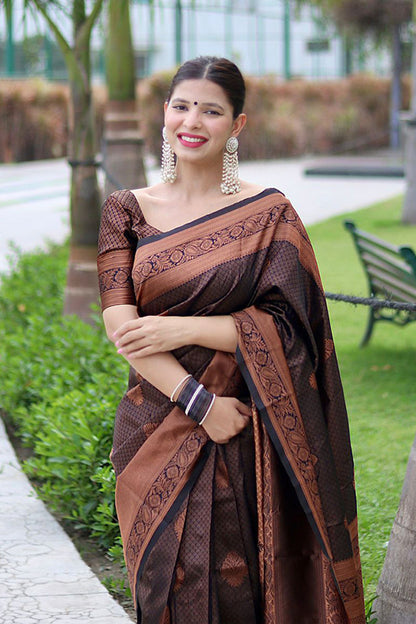 Krishu Brwon Banarasi Silk Saree