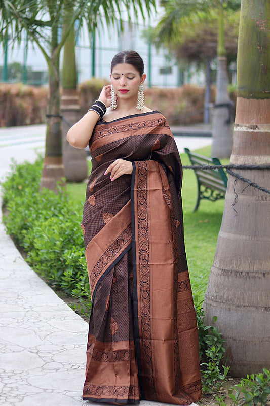 Krishu Brwon Banarasi Silk Saree