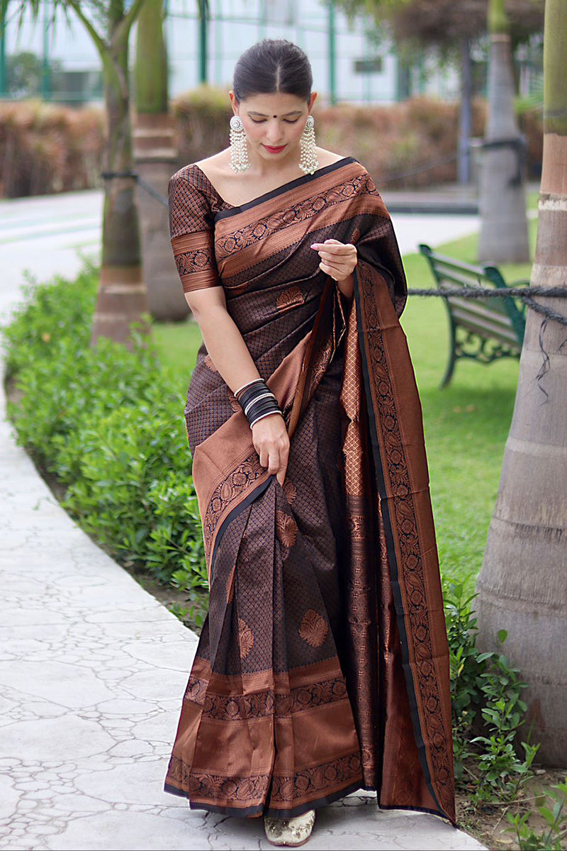 Krishu Brwon Banarasi Silk Saree