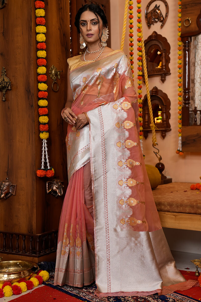 Tinu Light Brown Organza Silk Saree