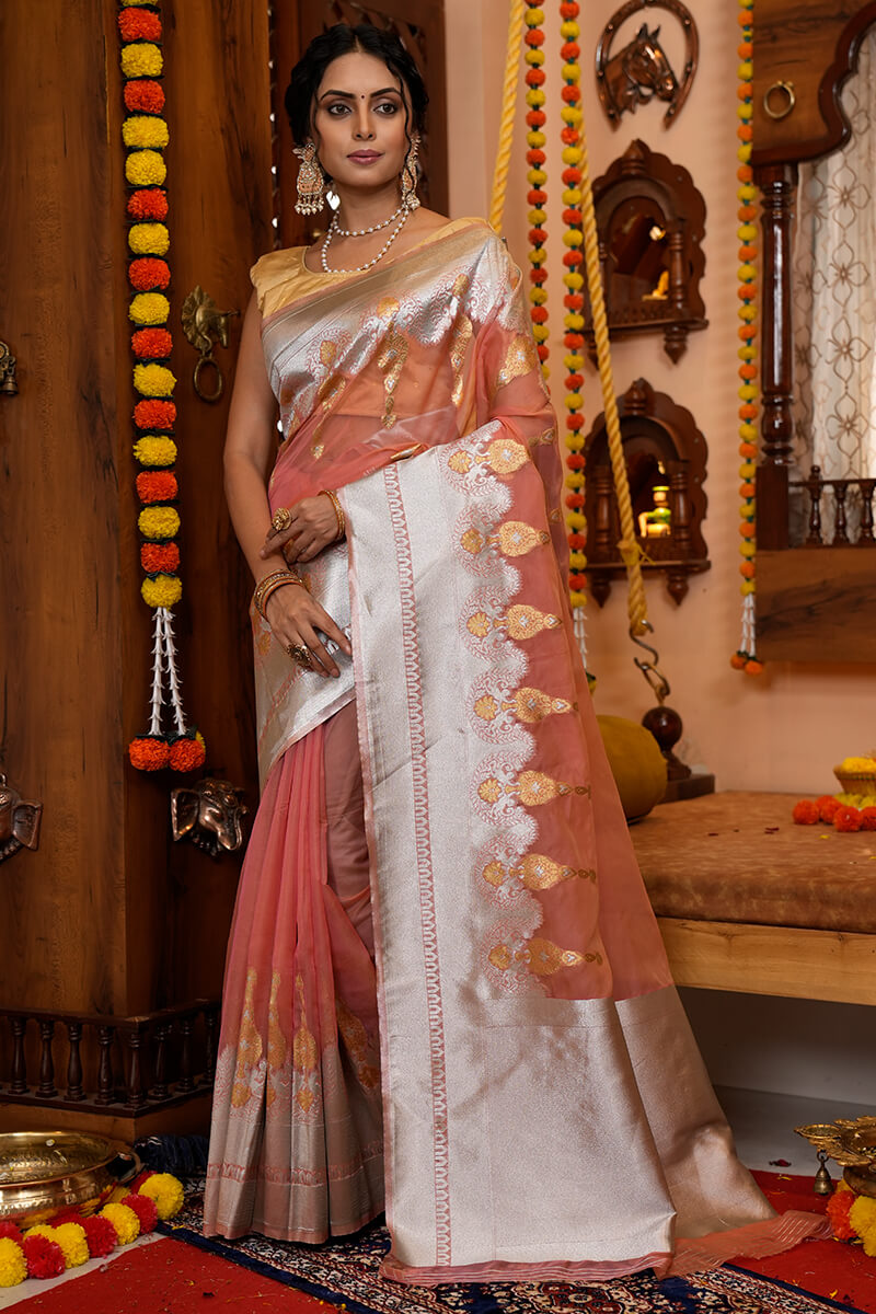 Tinu Light Brown Organza Silk Saree