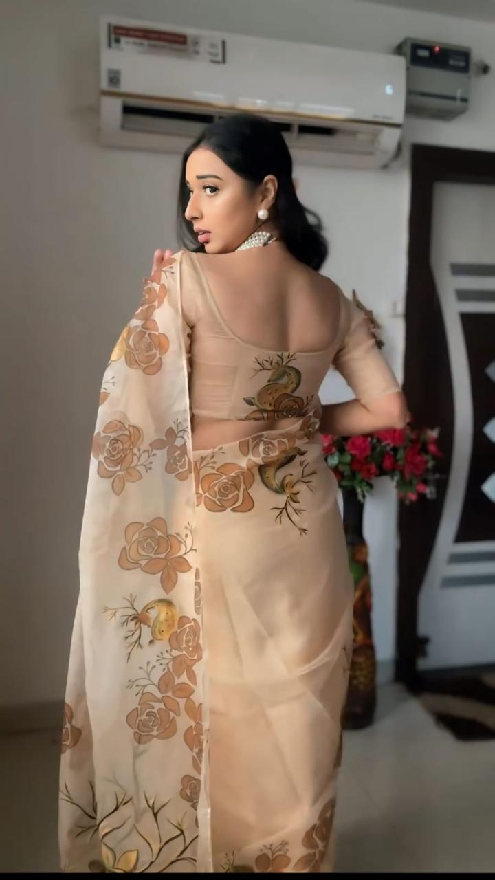 Evelyn GoldenDeer 1-Minute Ready To Wear Premium Organza Silk Print Saree