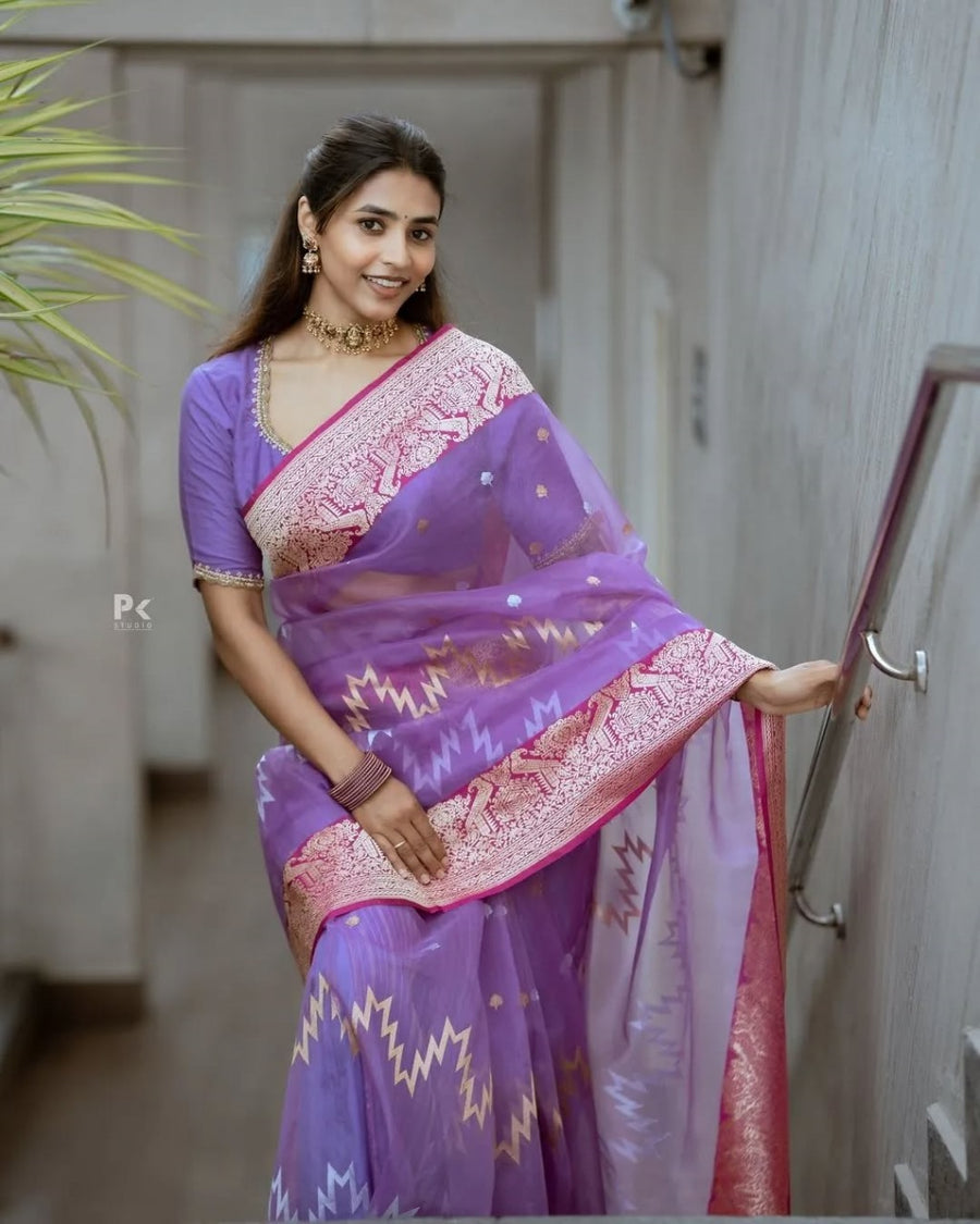 Lavender Sheer Saree with Pink Zari Border & Ikat Motifs