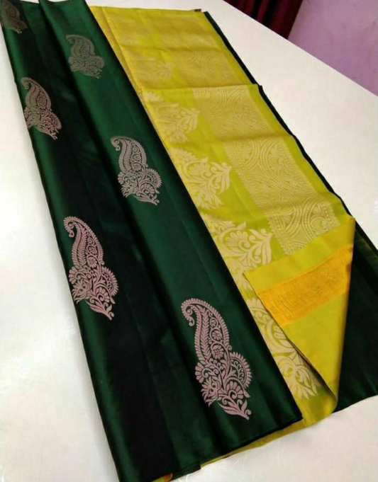 Hetvi Green Litchi Silk Saree