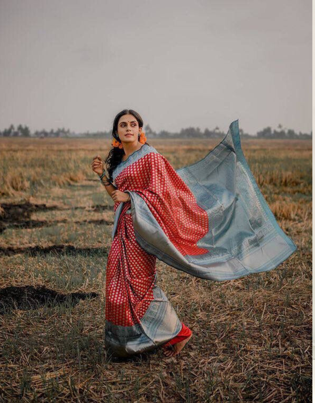 Margie Red Banarasi Silk Saree