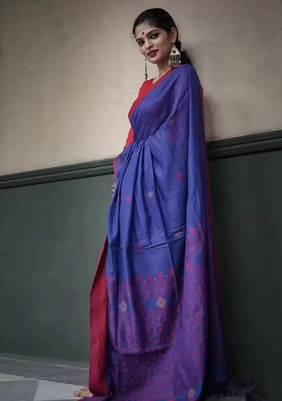 Vindhya Blue red Border Soft Linen Slub Saree With AttractiveBlouse