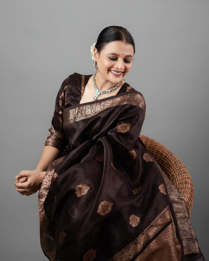 Ibarshani Coffee Soft Silk Saree With Attractive Blouse Piece Attached