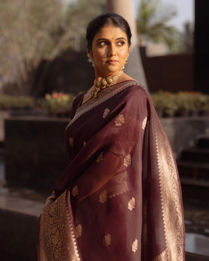 Organza Sarees
