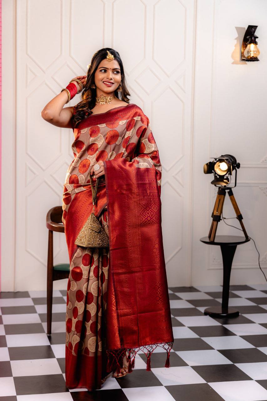 Scarlet Circles Saree Red Banarasi Silk Saree WIth Fabulouse Blouse Piece