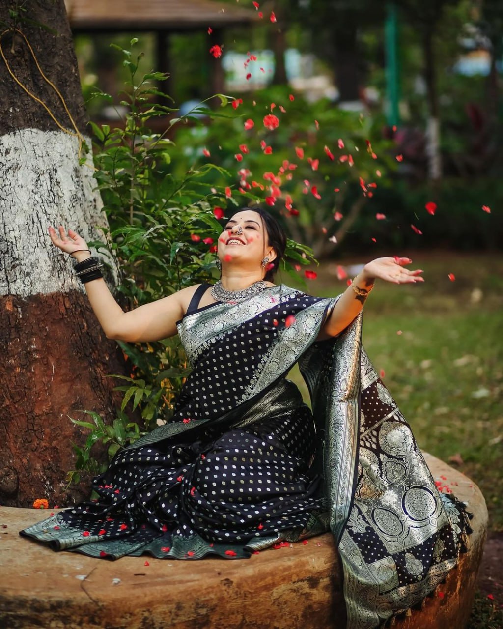 Obsidian Silver Black Classic Banarasi Silk Saree WIth Fabulouse Blouse Piece