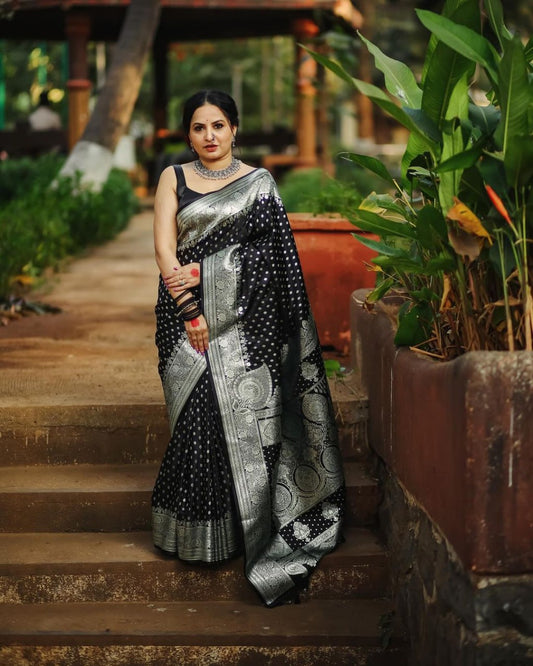 Obsidian Silver Black Classic Banarasi Silk Saree WIth Fabulouse Blouse Piece