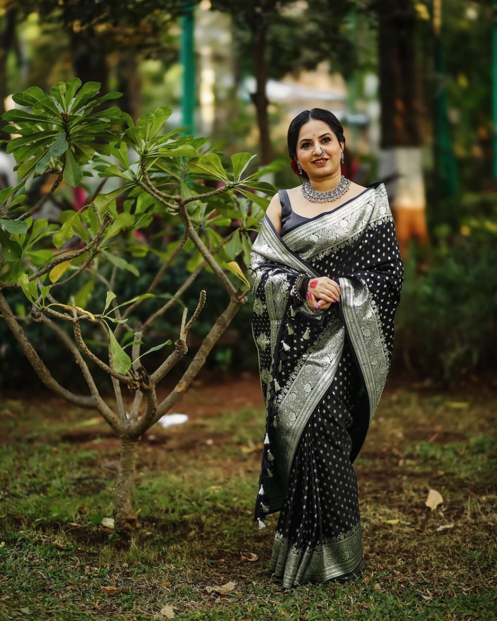 Obsidian Silver Black Classic Banarasi Silk Saree WIth Fabulouse Blouse Piece