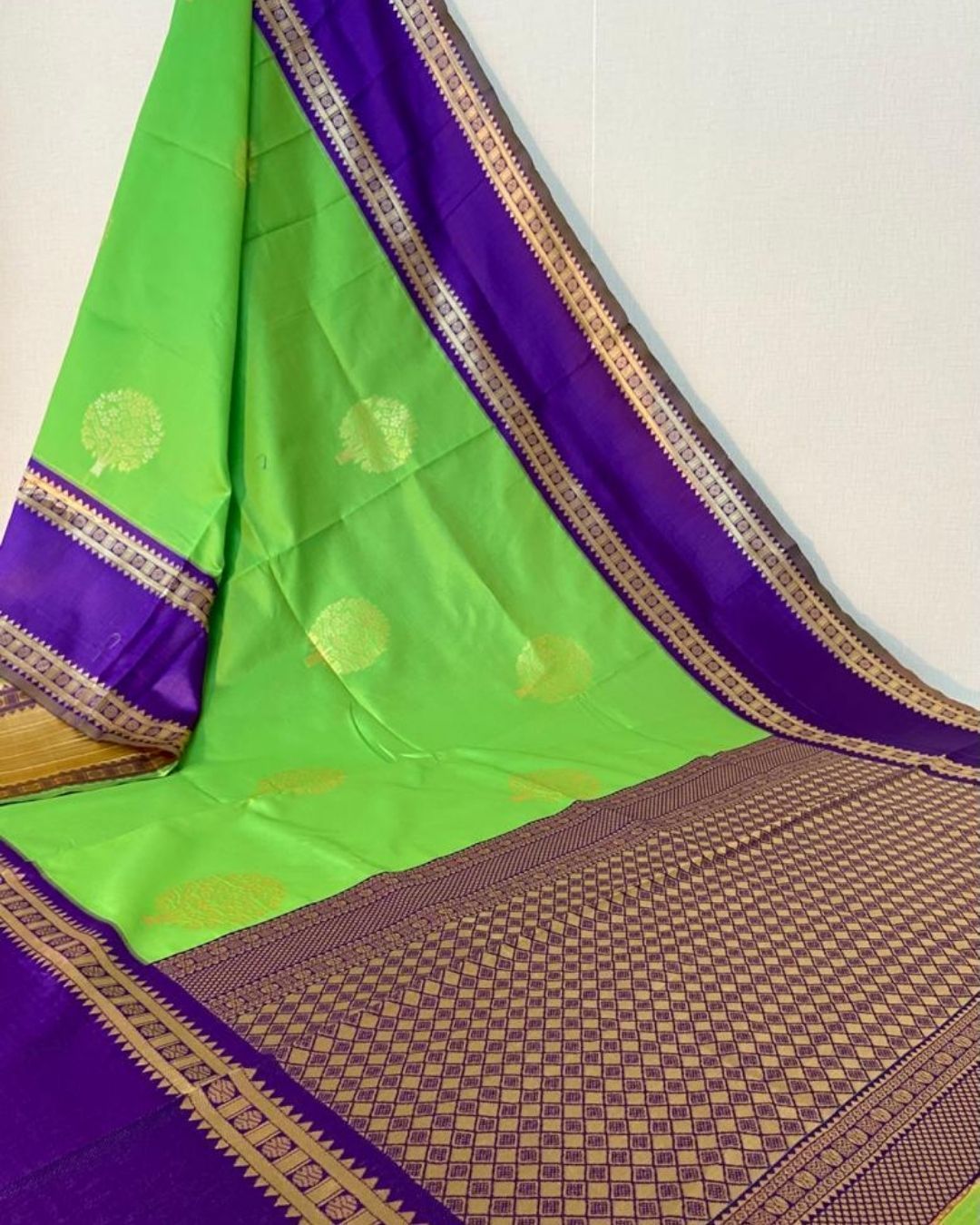 Akilaa parrot saree with attached blouse