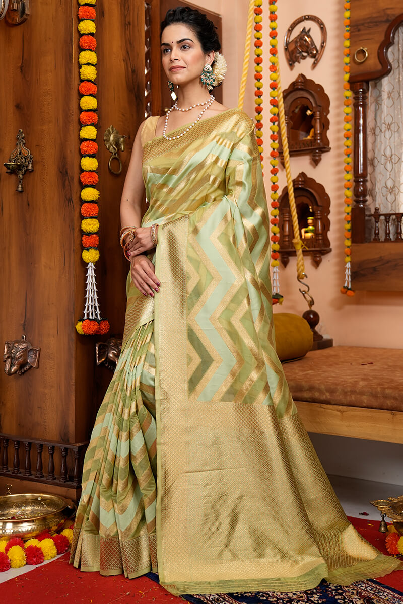 Bina Mehndi Organza Silk Saree With Prettiest Blouse