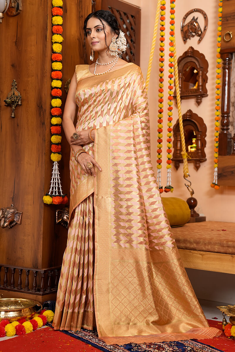 Meera Beige Organza Silk Saree With Incredible Blouse 