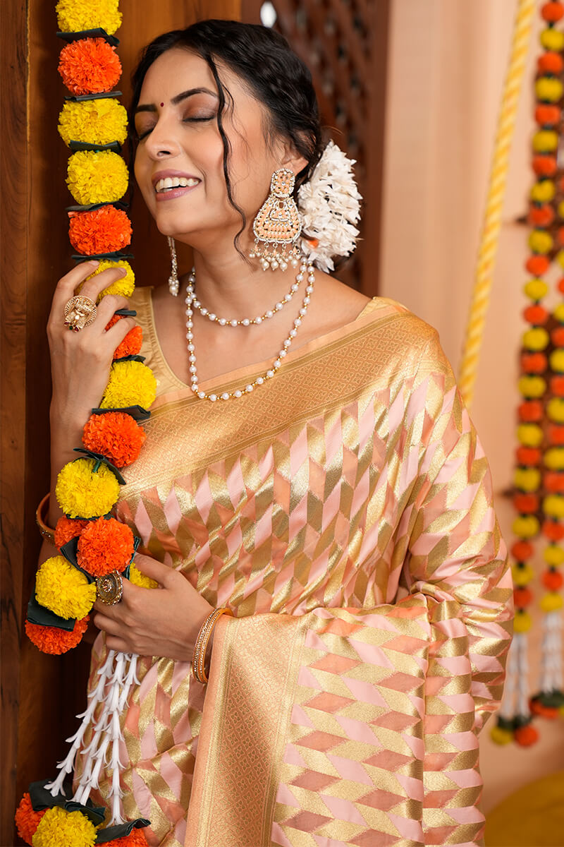 Meera Beige Organza Silk Saree With Incredible Blouse 