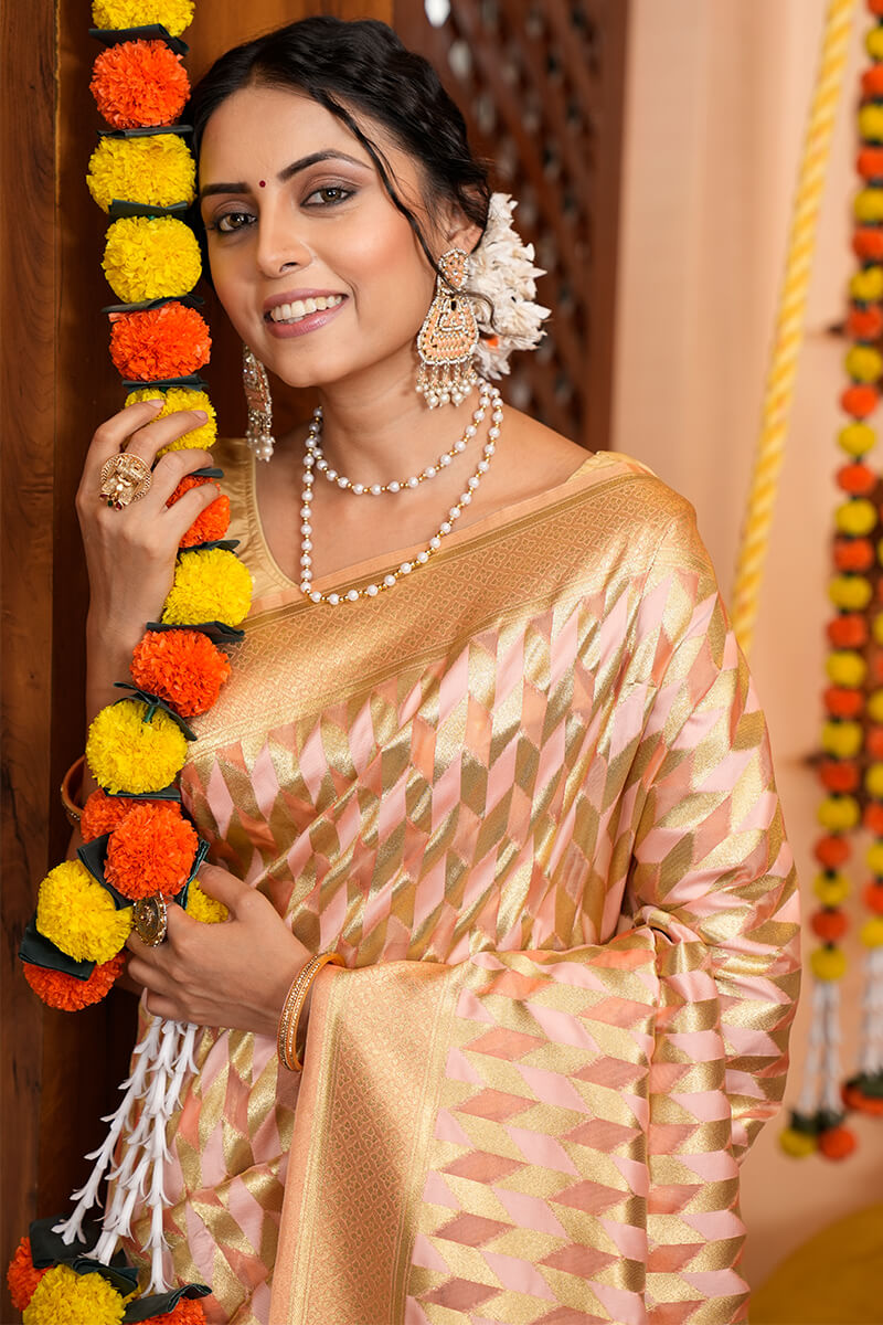 Meera Beige Organza Silk Saree With Incredible Blouse 