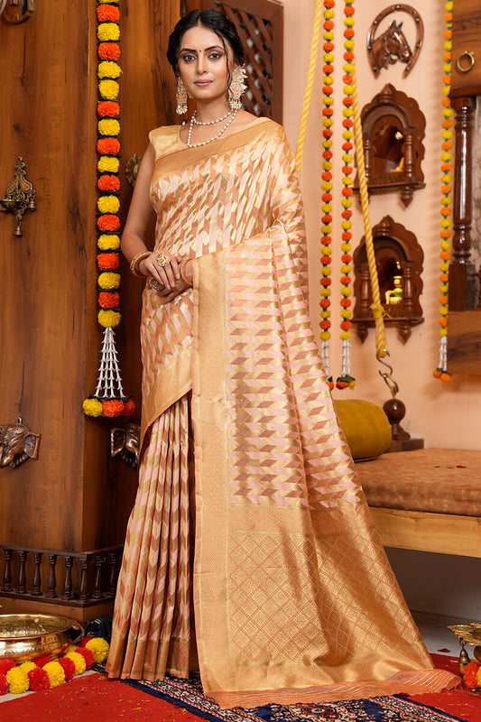 Meera Beige Organza Silk Saree With Incredible Blouse 