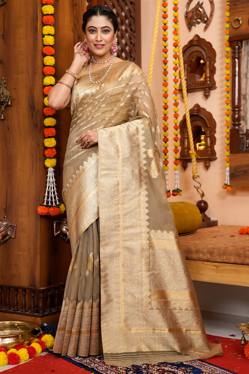 Jaya Beige Organza Silk Saree With Appealing Blouse 