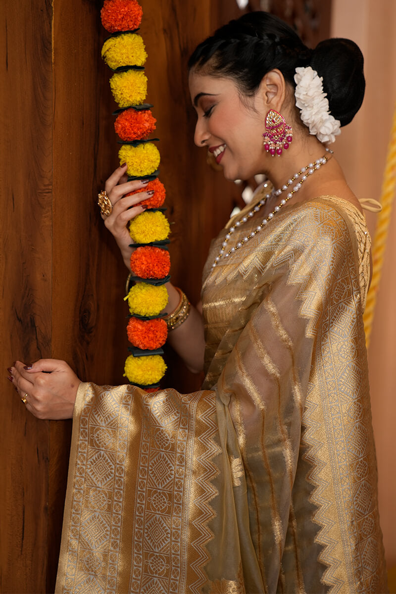 Jaya Beige Organza Silk Saree With Appealing Blouse 