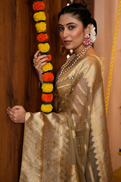 Jaya Beige Organza Silk Saree With Appealing Blouse 